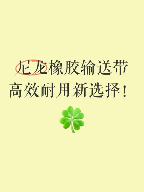 尼龙帆布输送带 以优质产品满足您的多样化输送需求